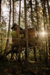 Iron & Vine Luxury Treehouse