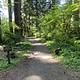 Path to walk in sites 1-4 and amphitheater