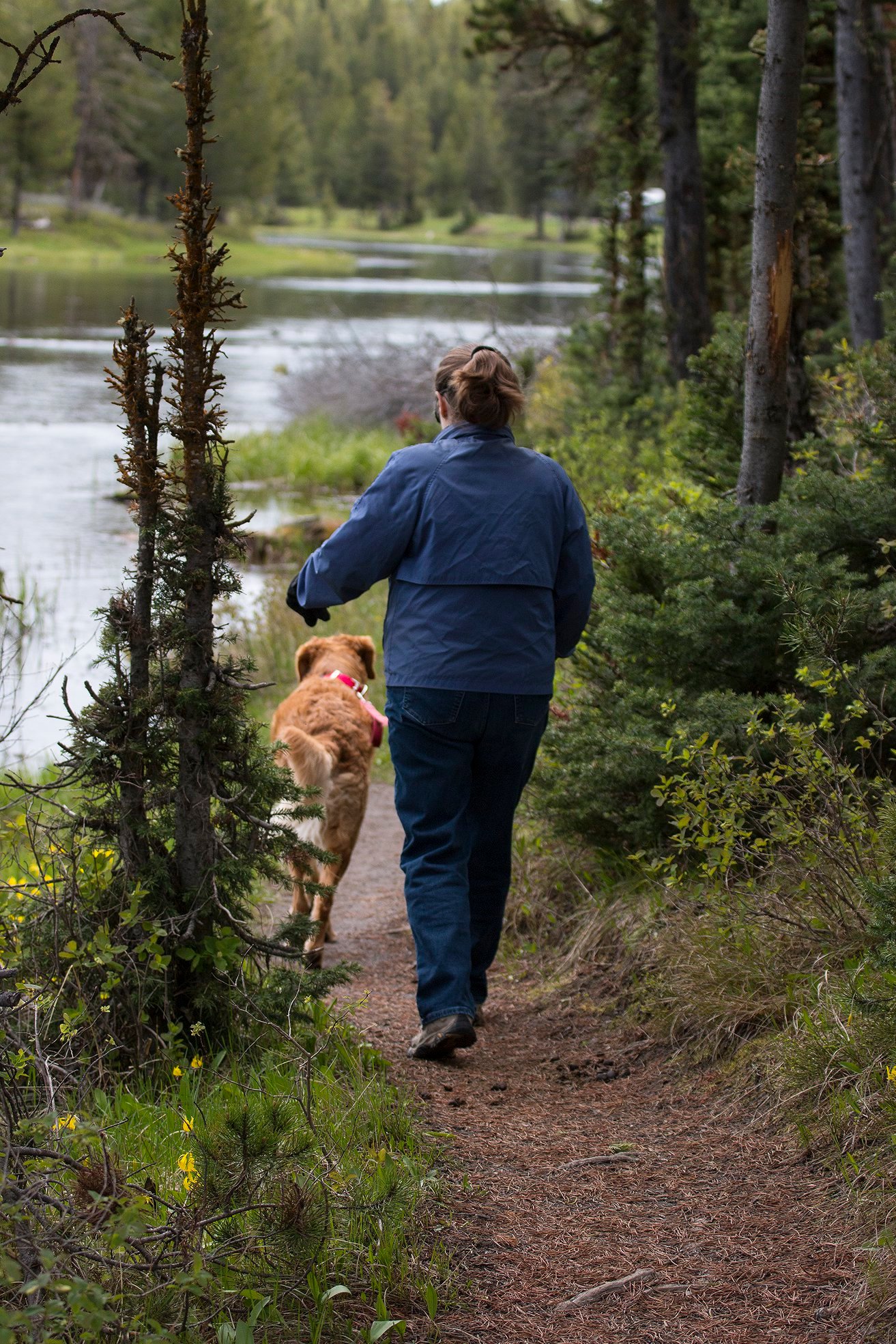 Yellowstone RV Park at Macks Inn