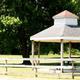 Gazebo/pavilion and fenced picnic area on grassy grounds — highlights on-site recreational/amenity space (from features/facilities images).