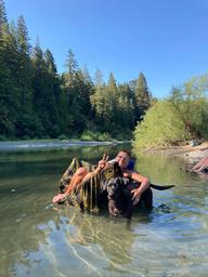 Giant Redwoods RV & Cabin Destination