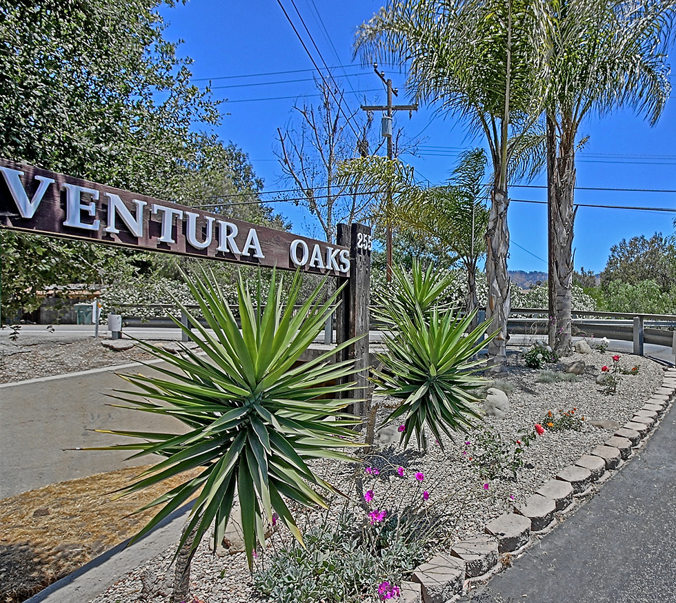 Ventura Oaks