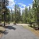Shoreline Campground/1441