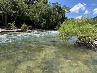 Clear river rapids near Clabber Creek with a rock table on the far bank and a willow tree on the near bank. 