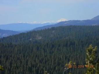 CALPINE LOOKOUT