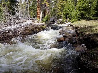 North Fork of the Little Laramie River