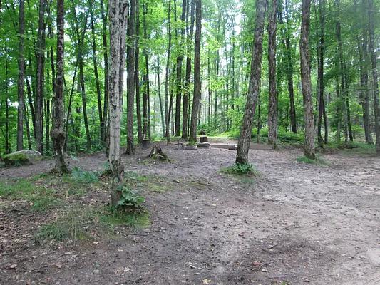 001, Loop: IRONJAW LAKE CAMPSITE