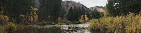 Baumgartner Campground