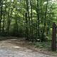 Entrance drive to Hopper Creek Group Camp, a gray gravel driveway is on the left and a brown sign indicating Hopper Creek Group Camp is on the right.