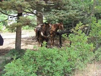 ALVARADO CAMPGROUND