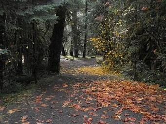 French Pete Campground