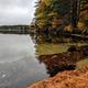 Calm lakeshore view with trees and shoreline detail — useful to show on-site scenery and waterfront setting referenced on the campground page.