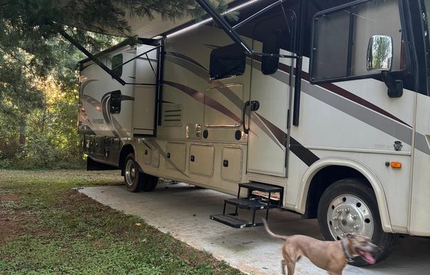 Perfect for Festivals, Tailgates & Family Trips