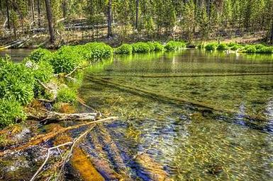 FALL RIVER CAMPGROUND