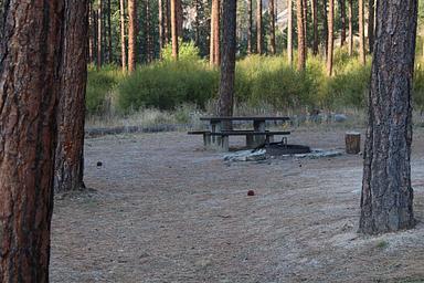Picnic table and fire ring viewed through trees