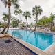 Encore Tropical Palms