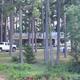 View through trees of the ship’s store/building and adjacent grounds—useful facility photo of on-site services.