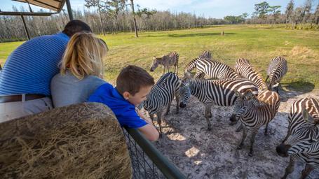 Safari Wilderness Glamping
