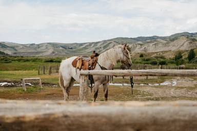 Goosewing Ranch