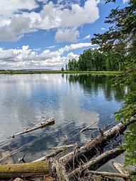 Willow  Lake Fishing