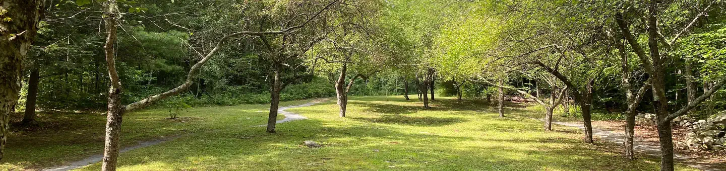 Moosalamoo Campground