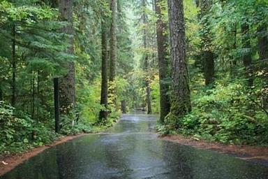 Susan Creek Campground