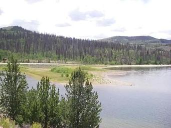 Willow Creek Group