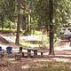 Campsites in Spring Creek Campground surrounded by Ponderosa Pine trees.