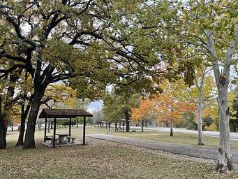 Oak Park (Navarro Mills Lake)