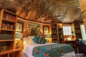 Treehouse Utopia