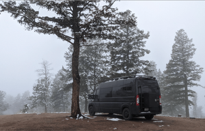 Roxy 2021 Ram Promaster "Glamping"