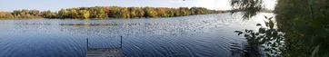 Bullfrog Resort