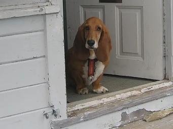 lookout cabin Evergreen