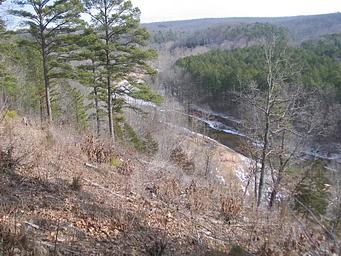 Landscape view from Pines Overlook