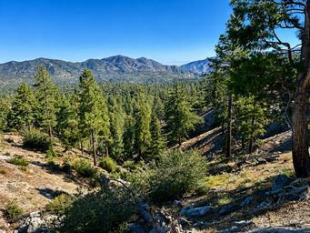 Bandido Group Campground