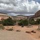 Windwhistle Campground is nestled in a cove of Navajo Sandstone in a pinyon-juniper forest. 
