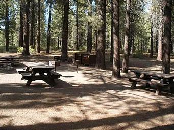 PINE GLEN