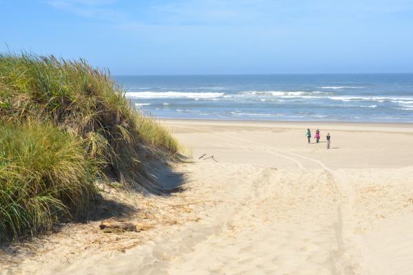 Heceta Beach RV Park