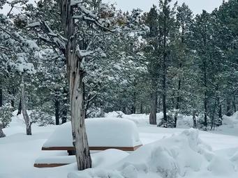Mather Campground winter storm 03/01/2023