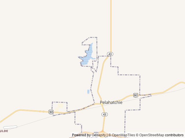 Map of Jellystone Park Pelahatchie location at Pelahatchie, LA, United States