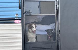 2025 Zinger Lite RV rental photo 6