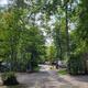 Wooded gravel lane with RVs visible among trees — shows typical campsite layout and tree canopy; from the homepage gallery backgrounds (20210927_130639.jpg).