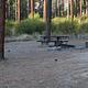 Picnic table and fire ring viewed through trees