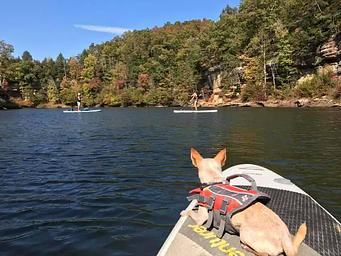 Paddle boarding at Grayson Lake 