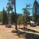 PINES GROUP STANISLAUS