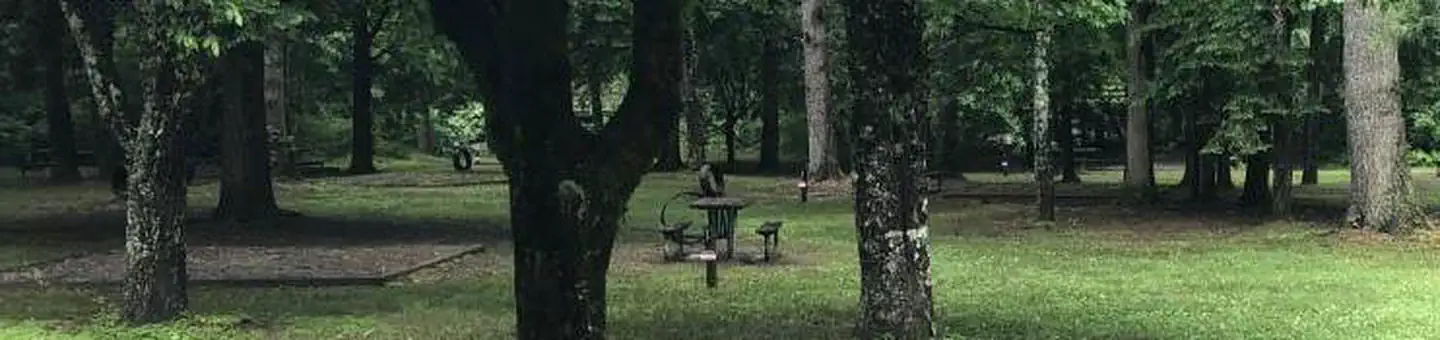 Deep Creek Campground (NC)