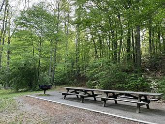 Two wooden picnic tables sit on a gravel pad with a grill on the left and trees behind