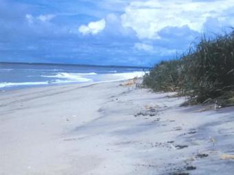 Assateague Island National Seashore Campground