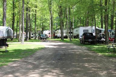 Tree-lined RV loop with multiple RVs and pull-through sites — clear view of typical campsite layout shown on the homepage background images.