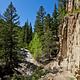 Thompson Creek